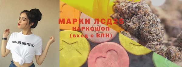 PSILOCYBIN Армянск
