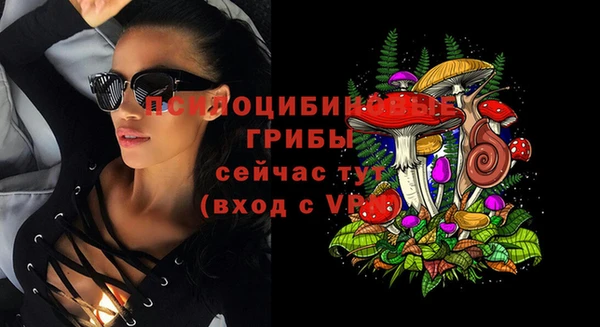 PSILOCYBIN Армянск