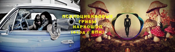 PSILOCYBIN Армянск
