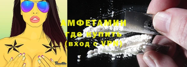 шишки Губаха